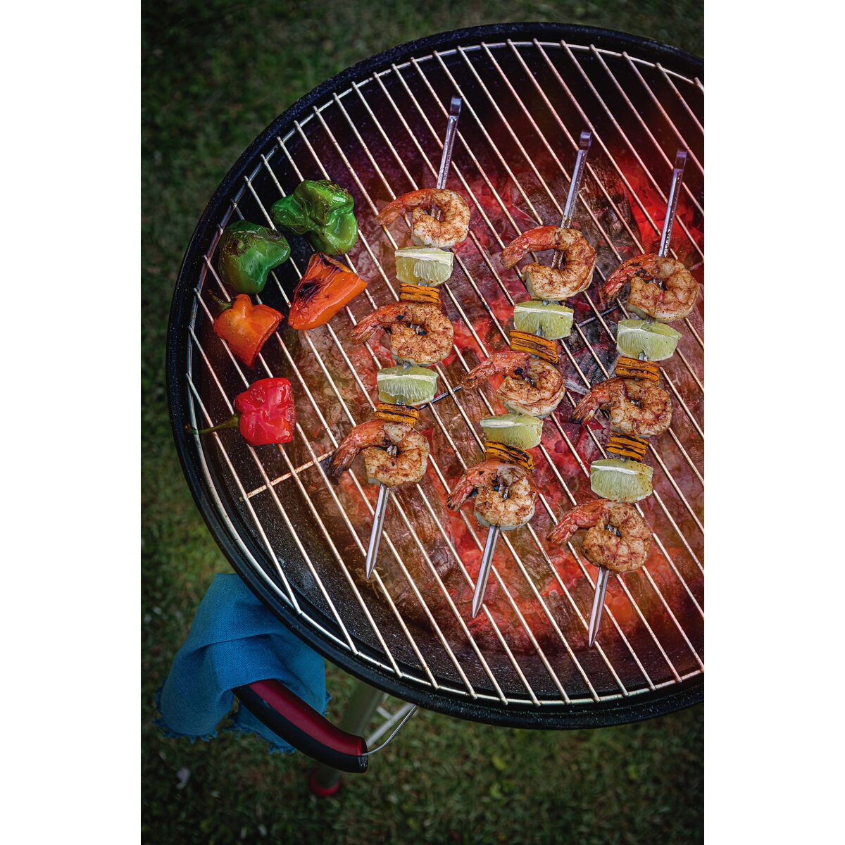 JUEGO DE BROCHETAS (40CM) 6PZAS.